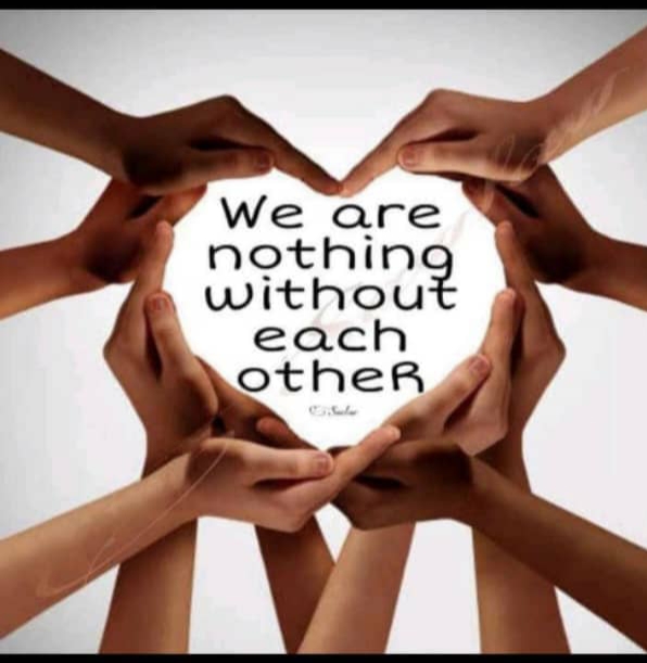 non profit organizations in the usa